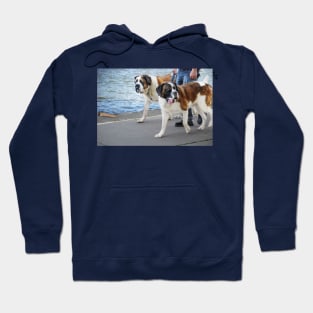 "Eyes FORWARD Barkley!" Hoodie